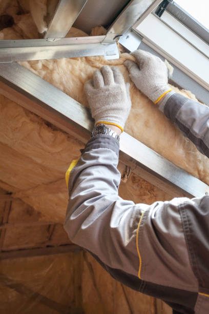 Best Cellulose Insulation in Park River, ND
