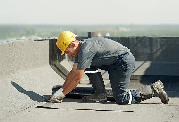 Best Spray Foam Insulation in Park River, ND