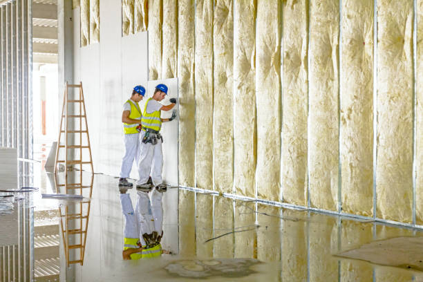 Best Geographic-Specific Insulation Services in Park River, ND